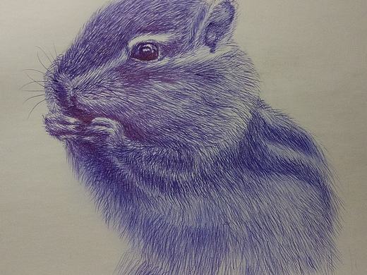 花栗鼠（個人主頁-ZMzA3MzQ5MjQ=） - 繪畫 - 站酷設(shè)計師思o(jì)r棄原創(chuàng)素材 - 站酷ZCOOL