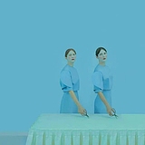 Freelion的头像