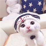 小时光or的头像