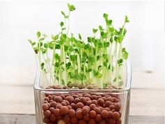 負(fù)離子栽培（個(gè)人主頁(yè)-ZMTQ1MTQ5NzI=） - 電商 - 站酷設(shè)計(jì)師打盹的松鼠原創(chuàng)素材 - 站酷ZCOOL