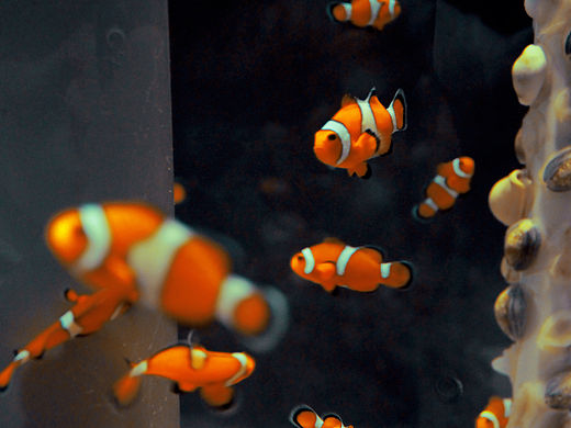 生命的力量（个人主页-ZMTQ5MDE5NDg=） - 风光摄影 - 站酷设计师大梵梵原创素材 - 站酷ZCOOL