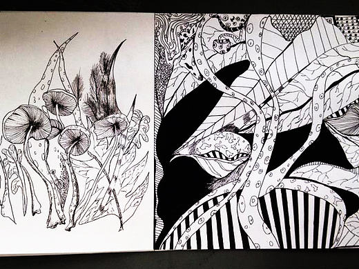 线描创意