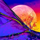 雷韵的头像