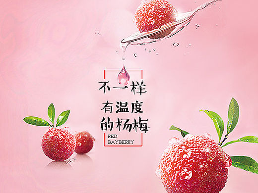 京东众筹  不一样有温度的古竹杨梅