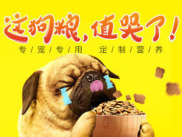 宠物用品Banner