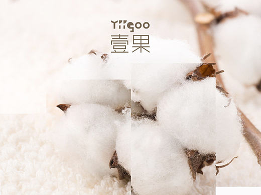 Yiigoo 壹果 专题页