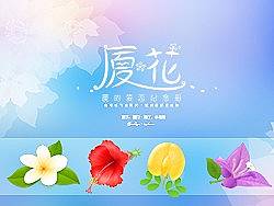 厦的爱恋纪念册