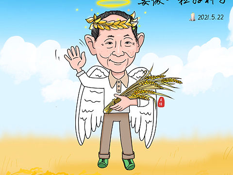 缅怀袁隆平