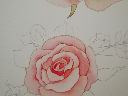 临摹瑶背背作品一小角