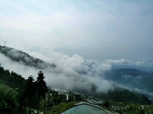 自然界天然氧吧（个人主页-ZMzU0MzAxNTY=） - 风光摄影 - 站酷设计师鲸落JINGLUO原创素材 - 站酷ZCOOL