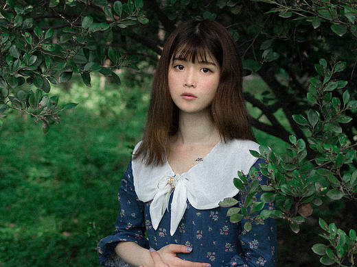 魔法森林