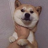Jming_的头像