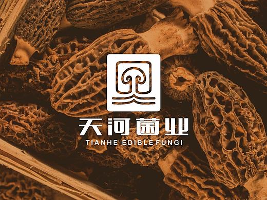 天河菌业