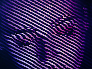 #置换#教程练习@灰昼（个人主页-ZMTU5OTkxMTY=） - 海报 - 站酷设计师酸cc原创素材 - 站酷ZCOOL