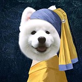 Alice之想的头像