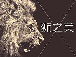 狮之美
