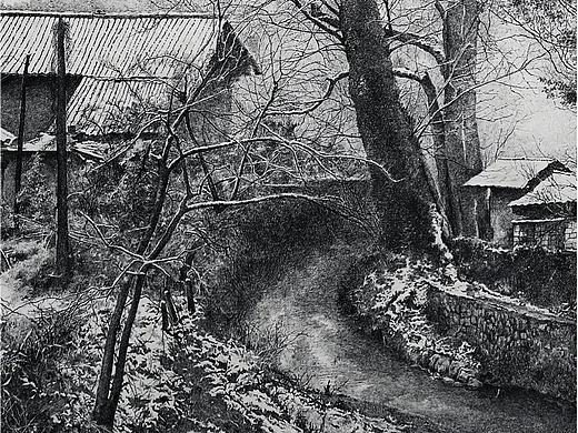 新钢笔画《时光易老、岁月静好》