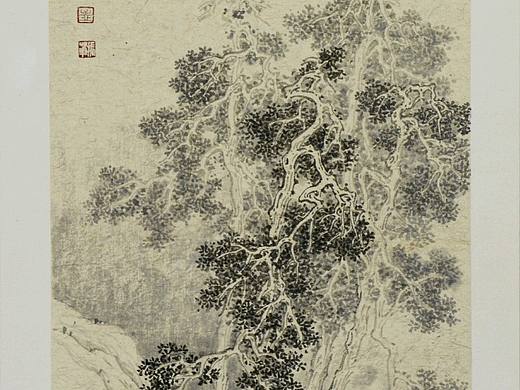 卡纸小品!!
