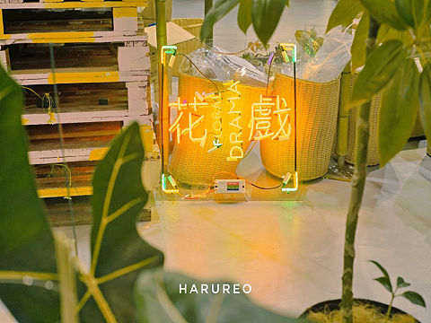 上海西岸多么嘉年华