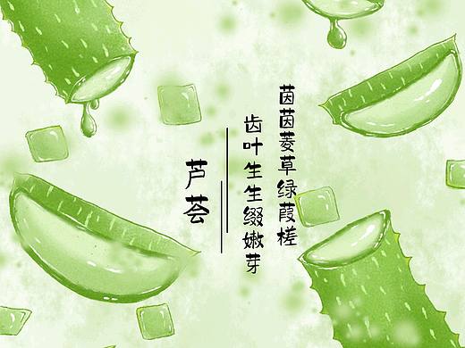芦荟产品包装封面