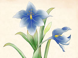 面膜素材