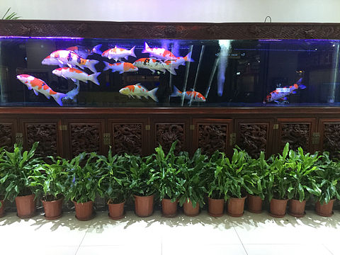 小动物的日常