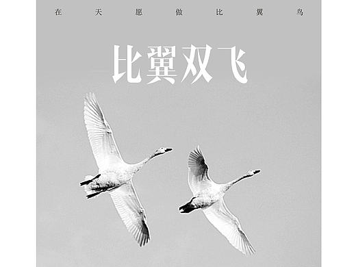 比翼双飞