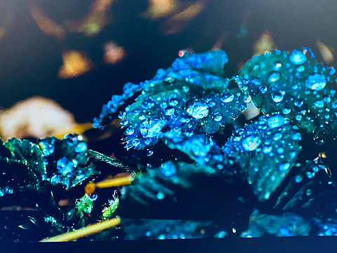 过往（个人主页-ZNDQwNjcyMDA=） - 风光摄影 - 站酷设计师边界之外原创素材 - 站酷ZCOOL