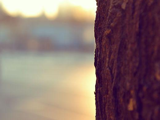 天津—古文化街