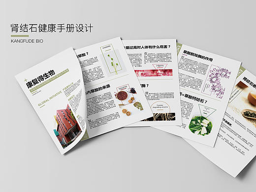 肾结石健康手册设计