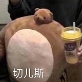 一脸正经的猫小喵的头像