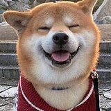 十七彡彡的头像
