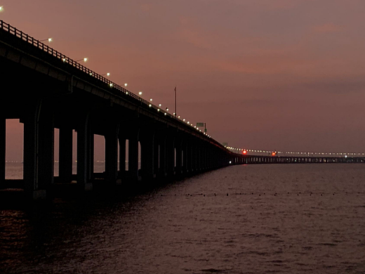 深圳西湾红树林公园_____iPhone XS