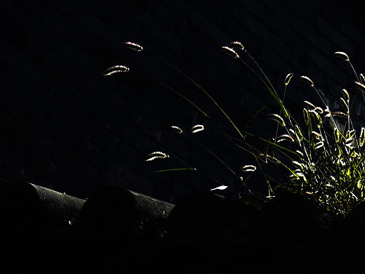 歲月依舊（個人主頁-ZNDc2NzY5ODA=） - 人文/紀實攝影 - 站酷設(shè)計師Z51036433原創(chuàng)素材 - 站酷ZCOOL