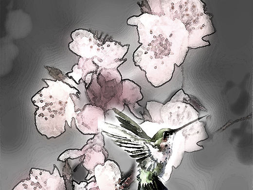 作品《梅花》作者:果酱女王-俞果