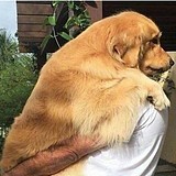 好懒癌的头像