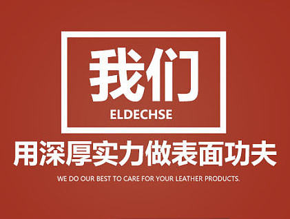 EIDECHSE 皮革清洁剂详情页