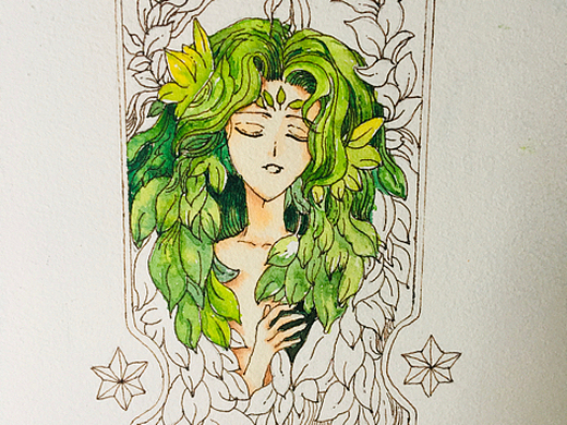 百变小樱魔术卡系列-树牌