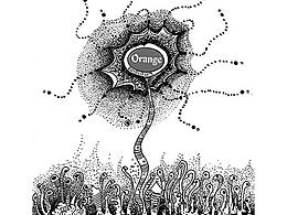 插画