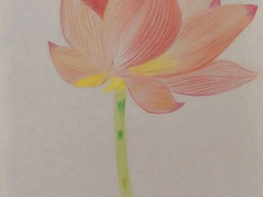 荷花（个人主页-ZMjEyMzk2NzY=） - 绘画 - 站酷设计师无酷原创素材 - 站酷ZCOOL