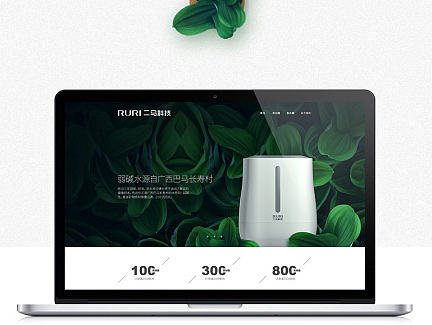 二马科技净水器净化器电商首页设计