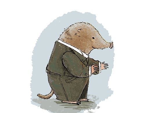 可爱的小鼹鼠mole