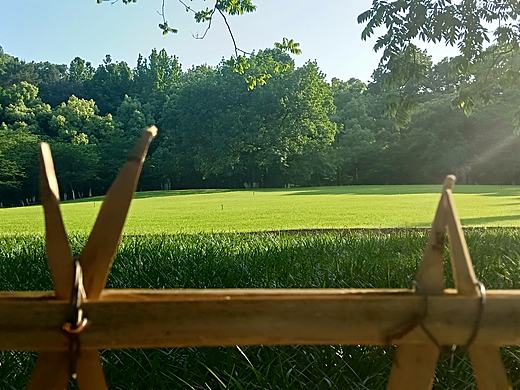 五月的太子湾一角