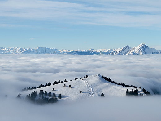 倒计时效果加动态图片