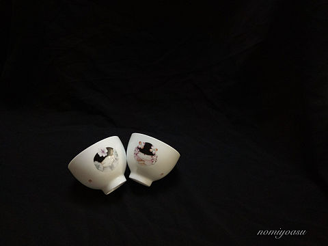 五彩作品（对杯）