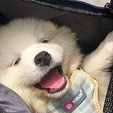 EileenGong的头像