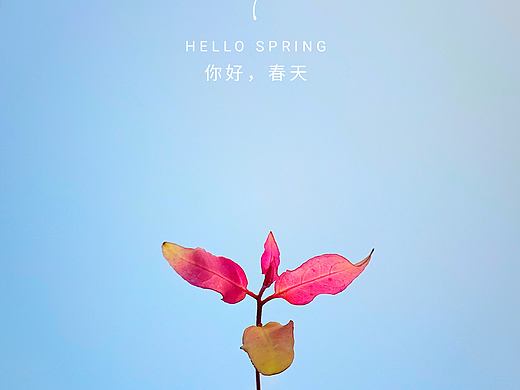 你好春天 再见病毒