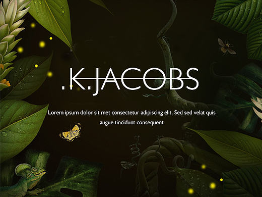 .K.JACOBS