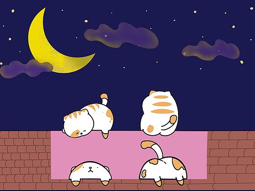 看月光的猫咪