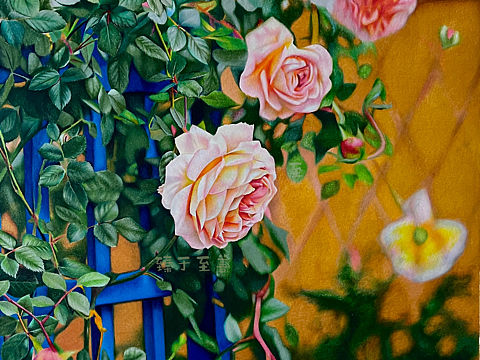 壁纸级彩铅作品《刹那芳华》